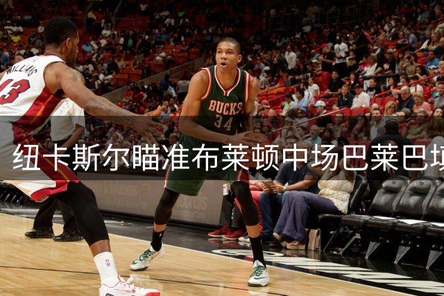 纽卡斯尔瞄准布莱顿中场巴莱巴填补空缺