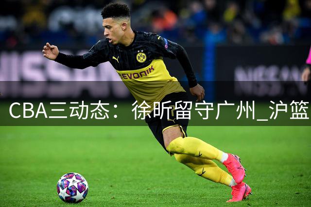 CBA三动态：徐昕留守广州 沪篮三人离队  鲁军保留谢智杰